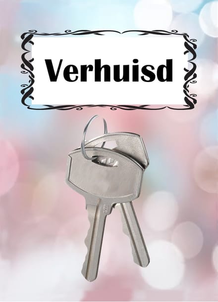 Adreswijziging - Verhuiskaarten - A6 - kaartenset van 12 stuks - Briefkaarten