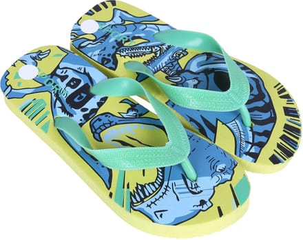Seledyn dinosaurus teenslippers/japs voor jongens