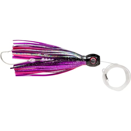 Lok Williamson Hspeed Sailfish