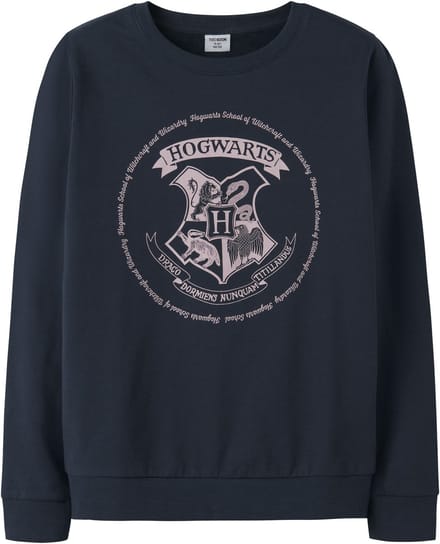 NAME IT - TKFTHOMEL HARRYPOTTER SWEAT BRU NOOS WAB - Meisjes - Sweaters