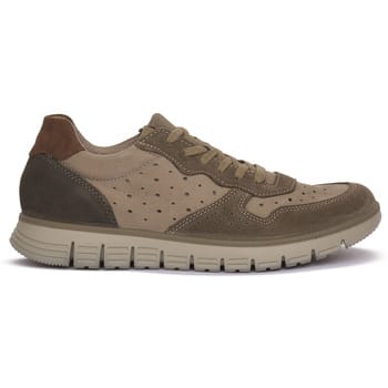 Sneakers Imac NOCCIOLA BERIT