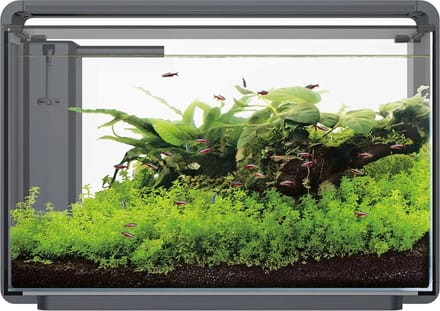 Superfish Home Proled 65 Aquarium - Aquarium - Zwart