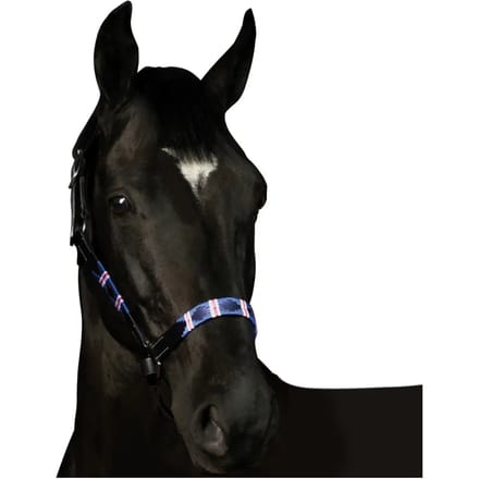 Halster voor paarden Flags&Cup Chukka