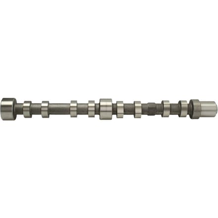 Nokkenas  AMC 647274