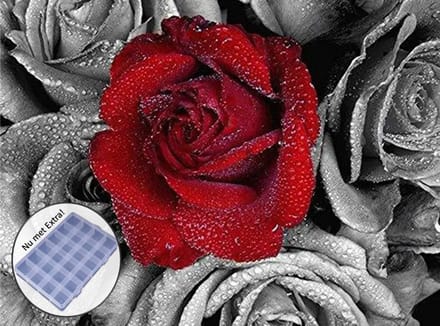 BJoy Diamond Painting 50x40 - Rode Roos Bloemen