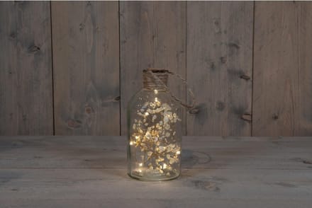 Kerstverlichting - B.o. Fles Glas Met Droogbloem Wit 20x9,5cm / 10led Warm Wit