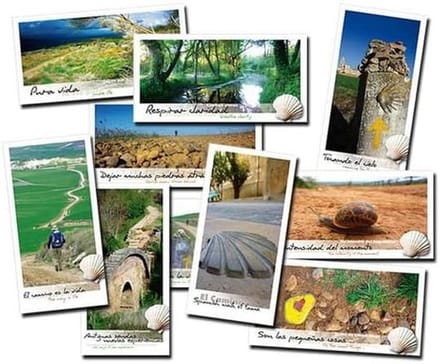 Luxe Ansichtkaarten Set - Camino de Santiago Wandelen - Panorama Formaat
