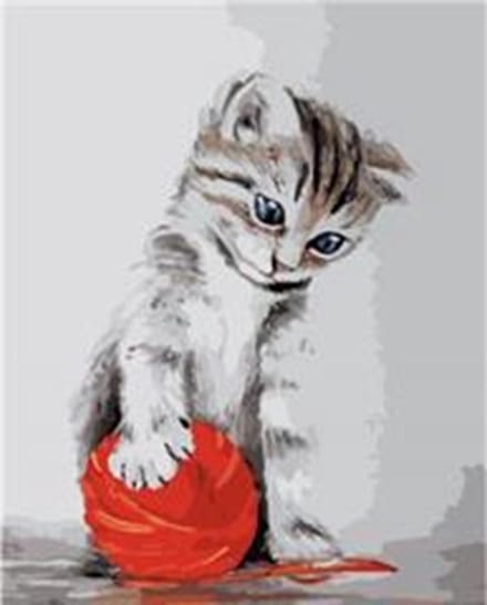 Itz Netherlands - Schilderen op Nummer - Kat Met Het Rode Klosje - 40 x 50 cm