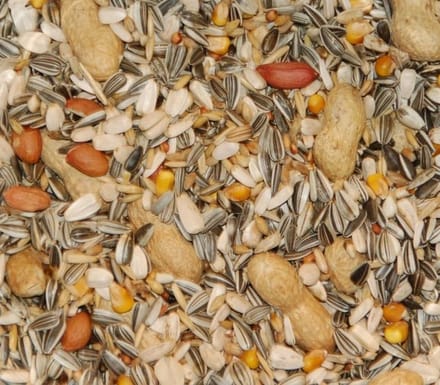 Wielink Papegaaienvoer 15KG
