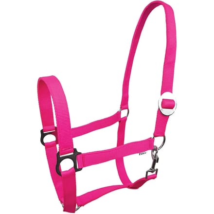 Halster voor paarden York Lita