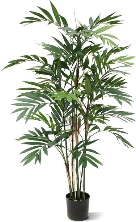 Chamaedorea kunstpalm deluxe 150 m