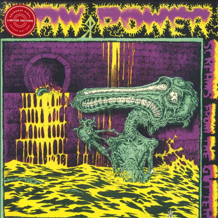 LP Plaat RAW POWER - Screams From The Gutter BOBV901LPLTD Back On Black 2022 UK Rock beige