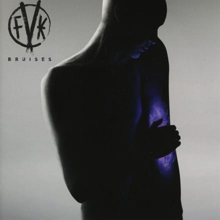 Fearless Vampire Killers - Bruises (CD)