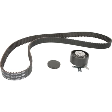 Distributieriemset GATES K015645XS