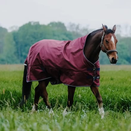 Outdoor paardendeken Equithème Tyrex 1200D 300g High Neck