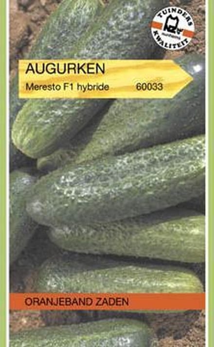Oranjebandzaden -  Augurken Profi (vh Capra) F1