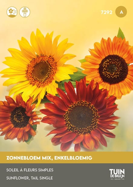 Tuin de Bruijn Zonnebloem Avondzon Mix – 50 Zaden – 2 g