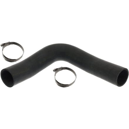 Radiatorslang FEBI BILSTEIN 101251