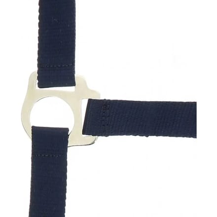 Halter Riding World Club