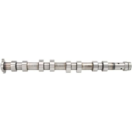 Nokkenas  AE CAM957
