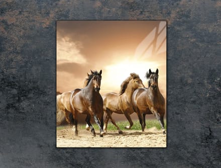 TMK ArtDeko - Snijplank - Glass - 45x52 cm - Veilig en Elegant