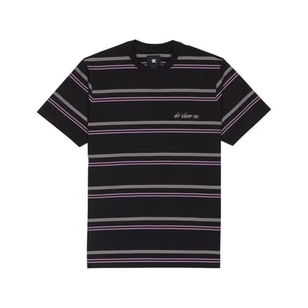 T-shirt DC Shoes Shelter Stripe
