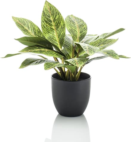 Kunstplant - Croton Codiaeum - Wonderstruik - 38 cm