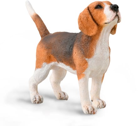 COLLECTA Figurine - Beagle - (M) - Honden - Handgeschilderd - Miniatuur