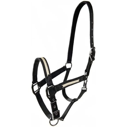 Halster voor paarden Lami-cell Sparkling