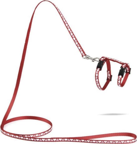 Beeztees Hearts - Kittentuigje - Rood - 120 cm x 10 mm