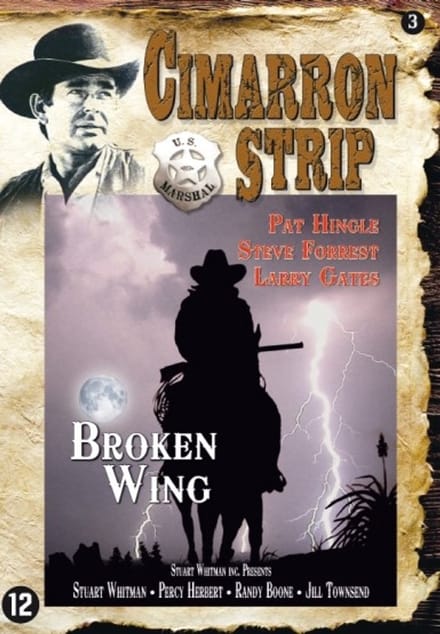 Broken Wing (DVD)