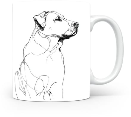 Beker Kangal