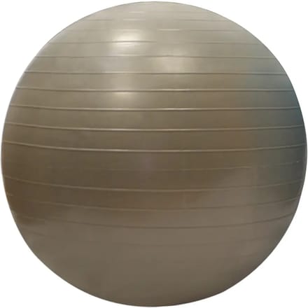Gymball Sporti France 55cm