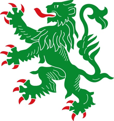 Vlag Hamoir 200x300cm