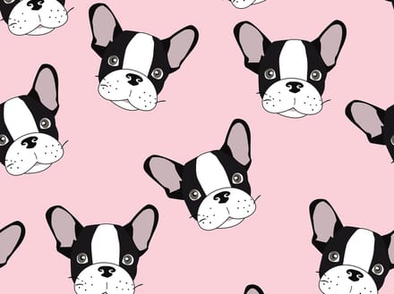 kinderkamerkleed vinyl | Frenchie roze