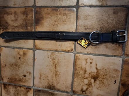 Halsband leer Julius K9 50 cm