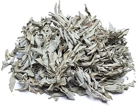 Wierook Witte Salie (Salvia Apiana) - 500 gram
