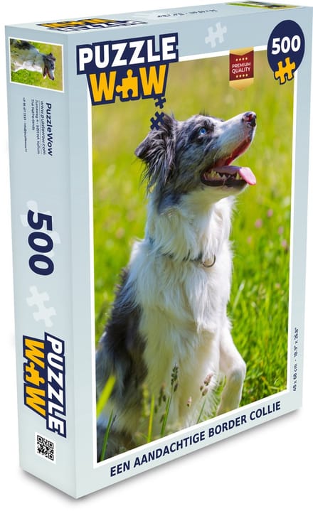 Puzzel Een aandachtige border collie - Legpuzzel - Puzzel 500 stukjes