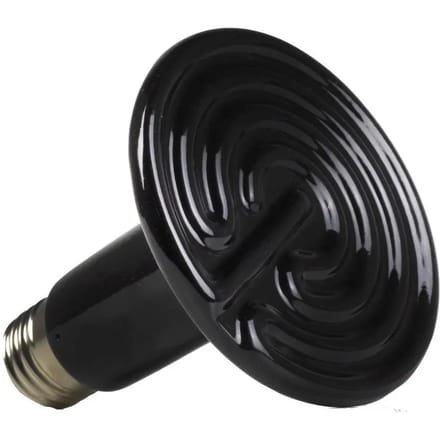 Lamp van keramiek Reptiles Planet Terra