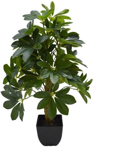 Kunstplant Schefflera in Pot - 60 cm