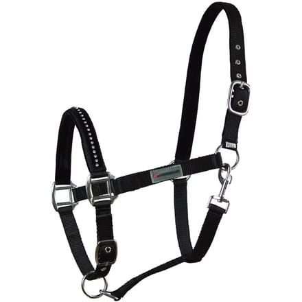 Nylon paardenhalster Horsenjoy Glitter