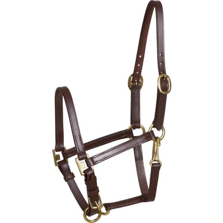 Halster voor paarden HorseGuard