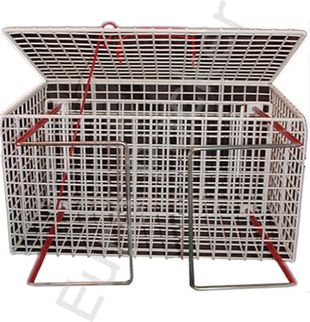Dwangkooi / Opdrukkooi voor Katten – Professioneel Gebruik