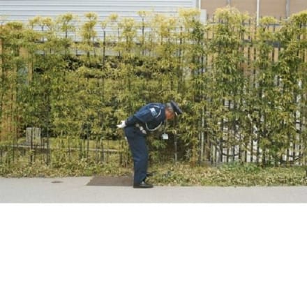 Gold Panda - Good Luck And Do Your Best (CD)