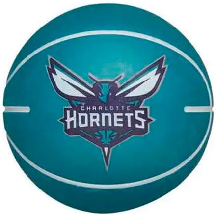 Stuiterende bal nba dribbelen Charlotte Hornets