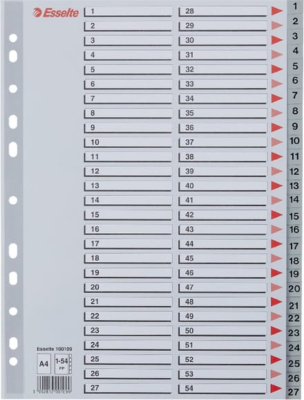 Esselte Index A4 - 0,12mm PP - Tabs 1-54 - 11-gaats - Grijs