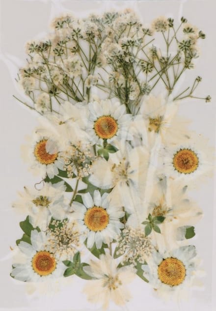 Boeket van perste bloemen Artemio