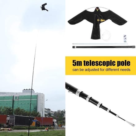 Vogel Eagle Vlieger - Vogelverschrikker met Telescopische Paal 7M