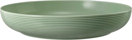Seltmann Weiden Beat Salbeigrün Food Bowl schaal 28 cm