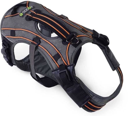 EQDOG Hondentuig Pro Harness Oranje Maat L